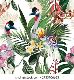 Exotic birds, passion flowers, monstera palm leaves, white background. Floral seamless pattern. Tropical illustration. Exotic plants, birds. Summer beach design. Paradise nature.  Japanese crane bird.
