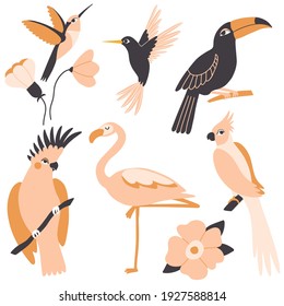 Exotic birds and plants set. Parrot, hummingbird, flamingo, toucan, wild flowers. Vector illustration. Animals and plants in the jungle, rainforest. Nature wildlife collection. Tropical paradise