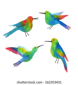 Exotic birds. Sketch of a hummingbird. Watercolor vector illustration