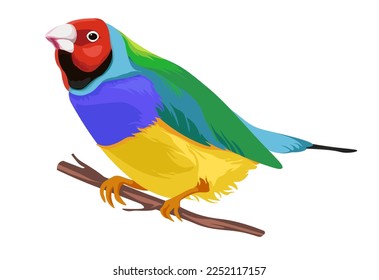 Exotic birds species, isolated parrot sitting on branch or twig. Avian animal with bright plumage and feathers. Zoology and nature, fauna and biodiversity of jungle or woods. Vector in flat style
