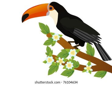 Exotic birds. Toucan sitting on a tree branch