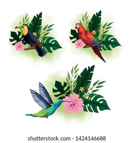 Exotic birds and tropical fauna set of colorful drawings vector illustration