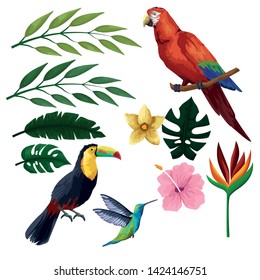 Exotic birds and tropical fauna set of colorful drawings vector illustration