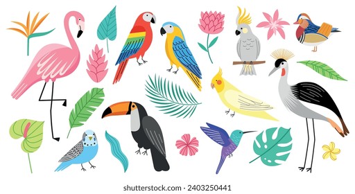 Aves exóticas y plantas tropicales. Criaturas de plumaje decorativas brillantes, hermosos loros y flamingo, monstera y hojas de palma, conjunto vectorial.eps
