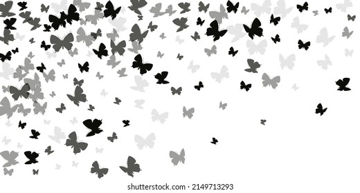 Exotic black butterflies abstract vector illustration. Spring funny moths. Fancy butterflies abstract fantasy background. Tender wings insects graphic design. Tropical beings.