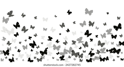 Exotic black butterflies abstract vector wallpaper. Summer beautiful moths. Fancy butterflies abstract baby illustration. Sensitive wings insects patten. Garden beings.