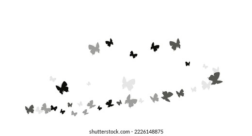 Exotic black butterflies cartoon vector background. Summer beautiful insects. Wild butterflies cartoon kids illustration. Delicate wings moths patten. Tropical beings.