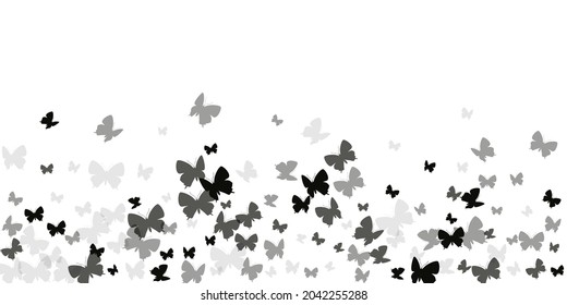 Exotic black butterflies isolated vector background. Spring pretty moths. Detailed butterflies isolated fantasy wallpaper. Delicate wings insects graphic design. Nature beings.