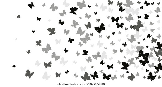 Exotic black butterflies isolated vector wallpaper. Summer vivid insects. Simple butterflies isolated baby illustration. Delicate wings moths patten. Nature beings.