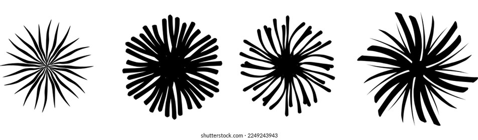 Colección exótica de la explosión de la explosión del sol en blanco y negro.
