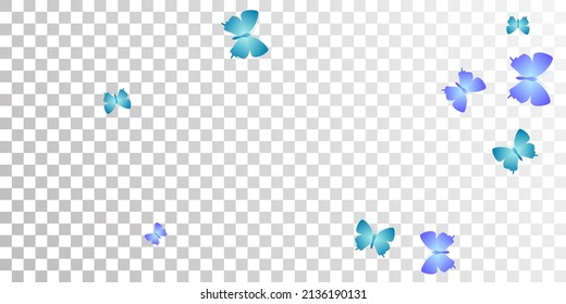 Exotic blue butterflies abstract vector illustration. Summer cute insects. Fancy butterflies abstract baby background. Tender wings moths graphic design. Nature creatures.