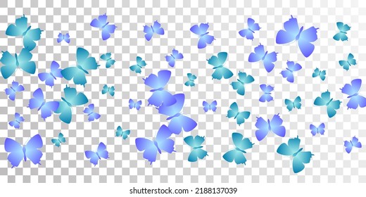Exotic blue butterflies flying vector wallpaper. Spring beautiful moths. Fancy butterflies flying fantasy illustration. Tender wings insects patten. Garden beings.
