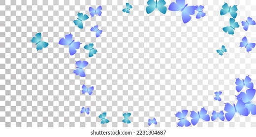 Exotic blue butterflies isolated vector wallpaper. Summer little insects. Fancy butterflies isolated girly background. Tender wings moths graphic design. Garden creatures.