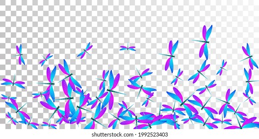 Exotic blue purple dragonfly cartoon vector background. Spring ornate damselflies. Simple dragonfly cartoon fantasy illustration. Sensitive wings insects graphic design. Tropical beings