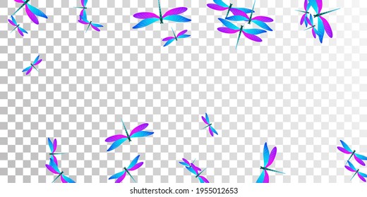 Exotic blue purple dragonfly flat vector illustration. Summer vivid insects. Fancy dragonfly flat fantasy background. Delicate wings damselflies patten. Tropical beings