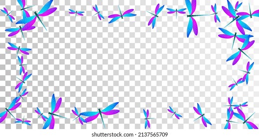 Exotic blue purple dragonfly flat vector illustration. Summer little damselflies. Detailed dragonfly flat dreamy background. Delicate wings insects patten. Fragile creatures