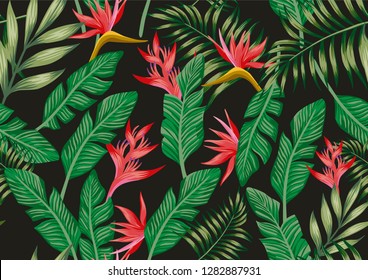 Exotic botanical pattern bird o paradise flowers and tropical palm leaves seamless. Black background vector A4 style wallpaper