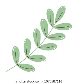 exotic branch leaves of natural plant