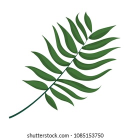 exotic branch natural leaves design