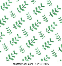 exotic branch plant with leaves background