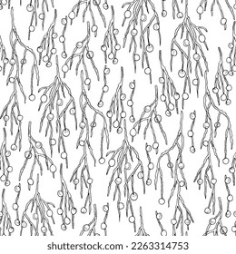 exotic branches seamless pattern. Natural tropical background with chamedorea leaves. Hand drawing in ink, outline