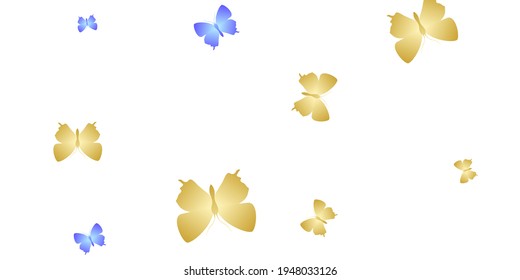 Exotic bright butterflies abstract vector background. Summer vivid insects. Wild butterflies abstract kids wallpaper. Sensitive wings moths graphic design. Tropical creatures.