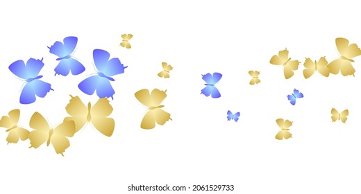 Exotic bright butterflies isolated vector wallpaper. Spring little insects. Wild butterflies isolated girly illustration. Sensitive wings moths patten. Tropical beings.