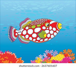 Exotic brightly colored parrotfish swimming over colorful corals in blue water of a tropical reef in a warm southern sea, vector cartoon illustration