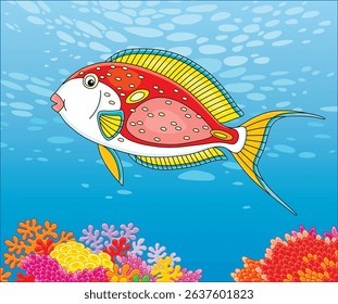 Exotic brightly colored parrotfish swimming over colorful corals in blue water of a tropical reef in a warm southern sea, vector cartoon illustration