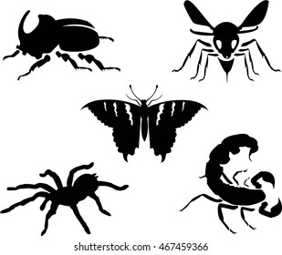 Exotic bug pack