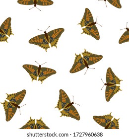 Exotic butterflies cartoon seamless pattern. Textile print with flying insect. Tropical butterflies vector wrapper. Summer girly fashion seamless pattern. Holiday design. 