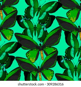 Exotic butterflies collection. Vector seamless pattern