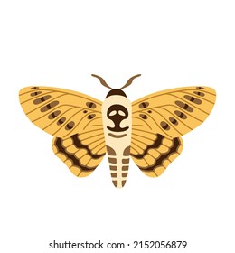 Mariposa exótica, polilla de cabeza de muerte. Dibujo aislado del vector de dibujos animados de insectos voladores tropicales dibujado a mano. Elemento de diseño místico estilizado para impresión, portada, libro, afiche, tarjeta