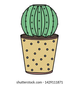 exotic cactus plant in ceramic pot