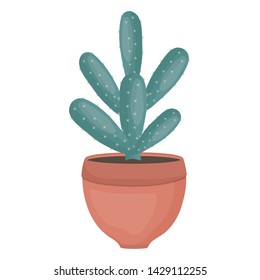 exotic cactus plant in ceramic pot