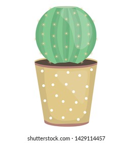 exotic cactus plant in ceramic pot