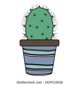 exotic cactus plant in ceramic pot
