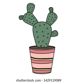 exotic cactus plant in ceramic pot