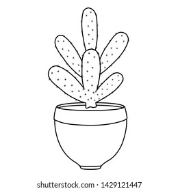 exotic cactus plant in ceramic pot
