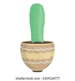 exotic cactus plant in ceramic pot