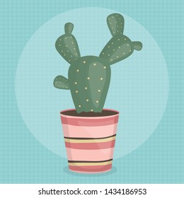 exotic cactus plant in ceramic pot