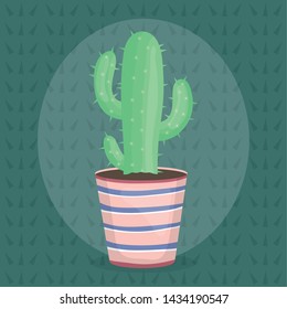 exotic cactus plant in ceramic pot