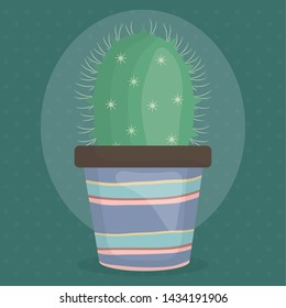 exotic cactus plant in ceramic pot