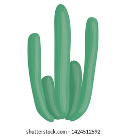 exotic cactus plant natural icon