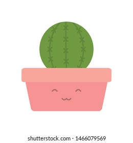 exotic cactus plant in square ceramic pot kawaii character