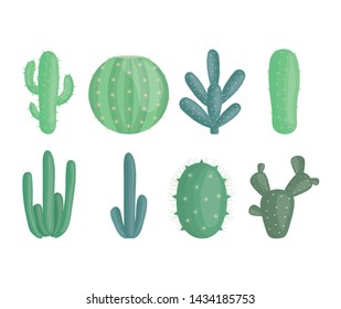 exotic cactus plants in ceramic pots