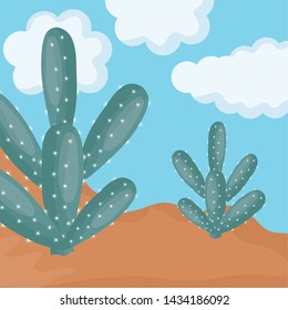 exotic cactus plants in the desert