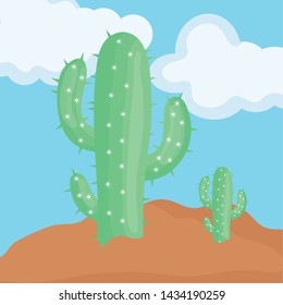 exotic cactus plants in the desert