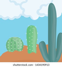 exotic cactus plants in the desert