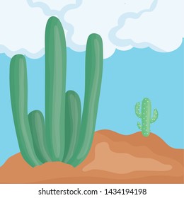 exotic cactus plants in the desert